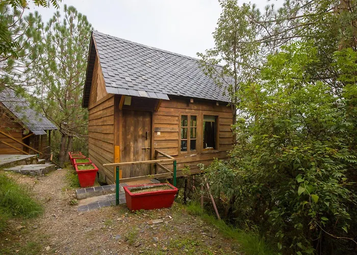 Alaya Stays Cottage With Tree House - Suro Woodbine Chalet