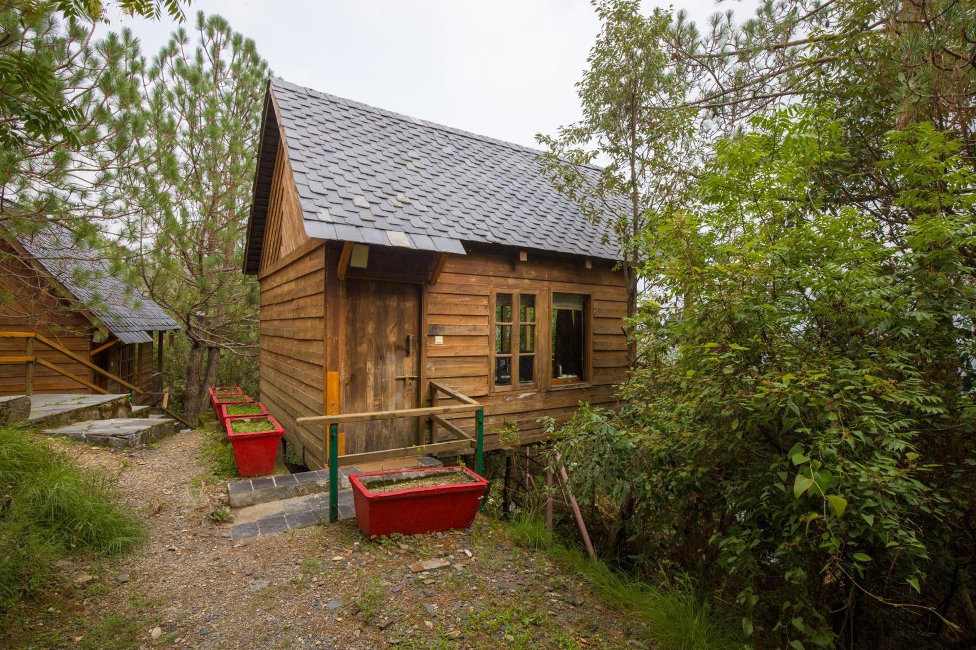 Alaya With Tree House - Suro Woodbine Villa *