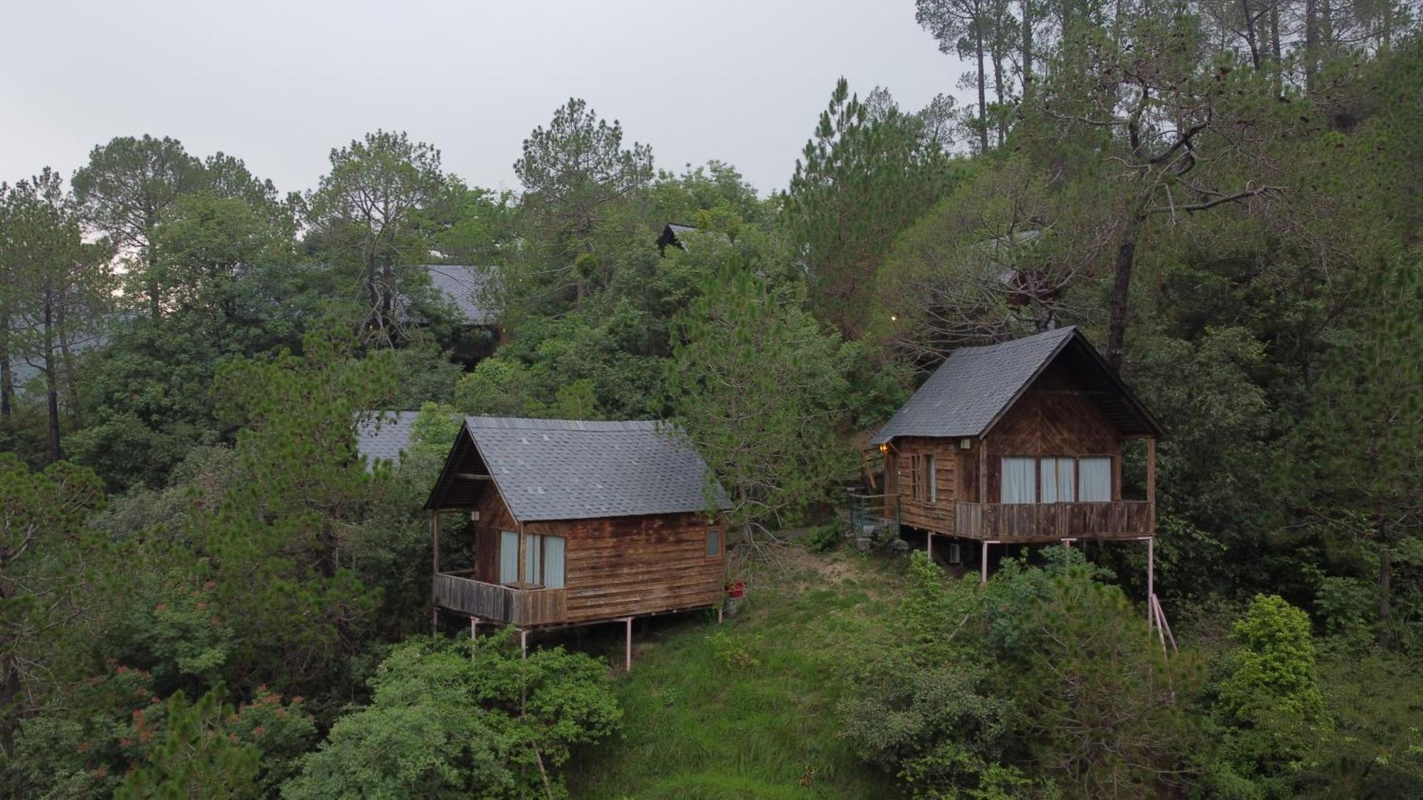 Alaya With Tree House - Suro Woodbine Villa Shogi