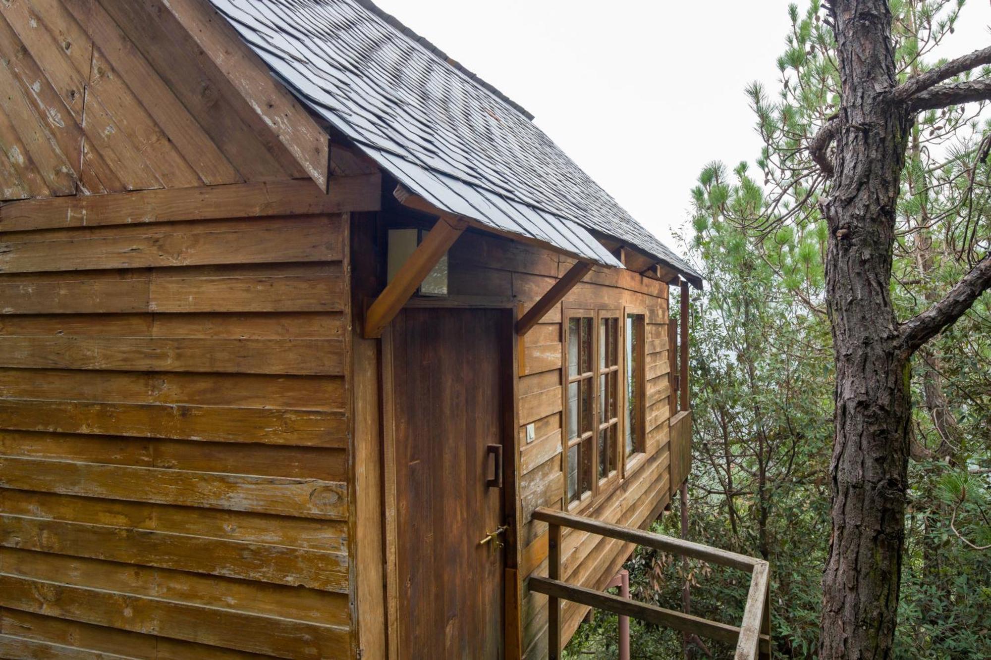 Alaya With Tree House - Suro Woodbine *