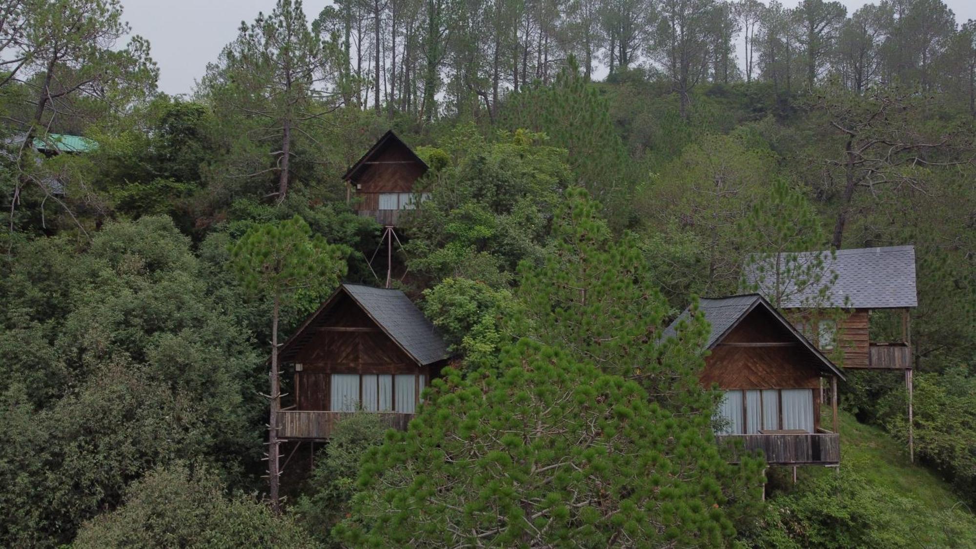 Alaya With Tree House - Suro Woodbine Villa *