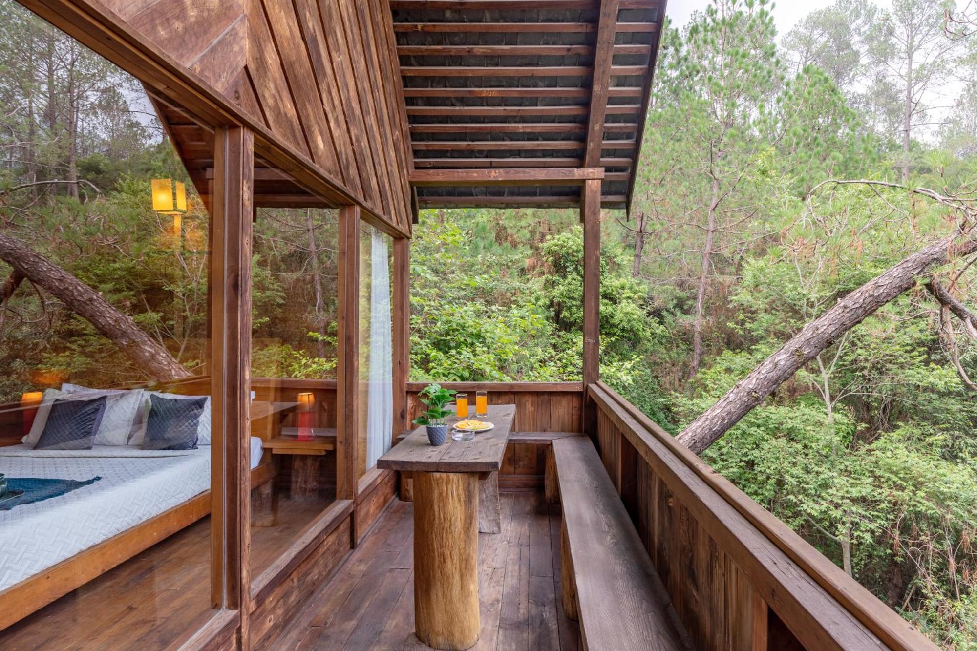 Alaya With Tree House - Suro Woodbine Shogi