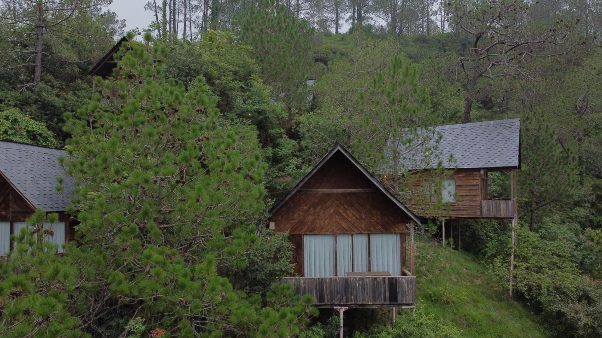 Alaya With Tree House - Suro Woodbine Villa