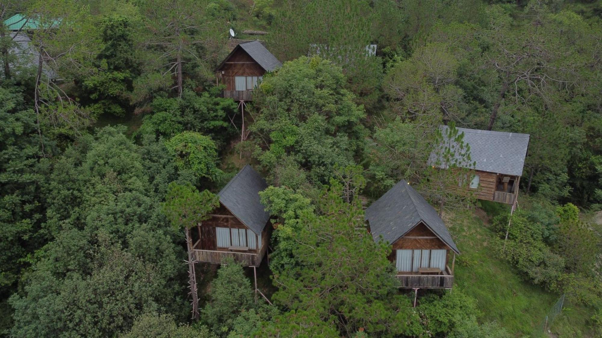 Villa Alaya With Tree House - Suro Woodbine