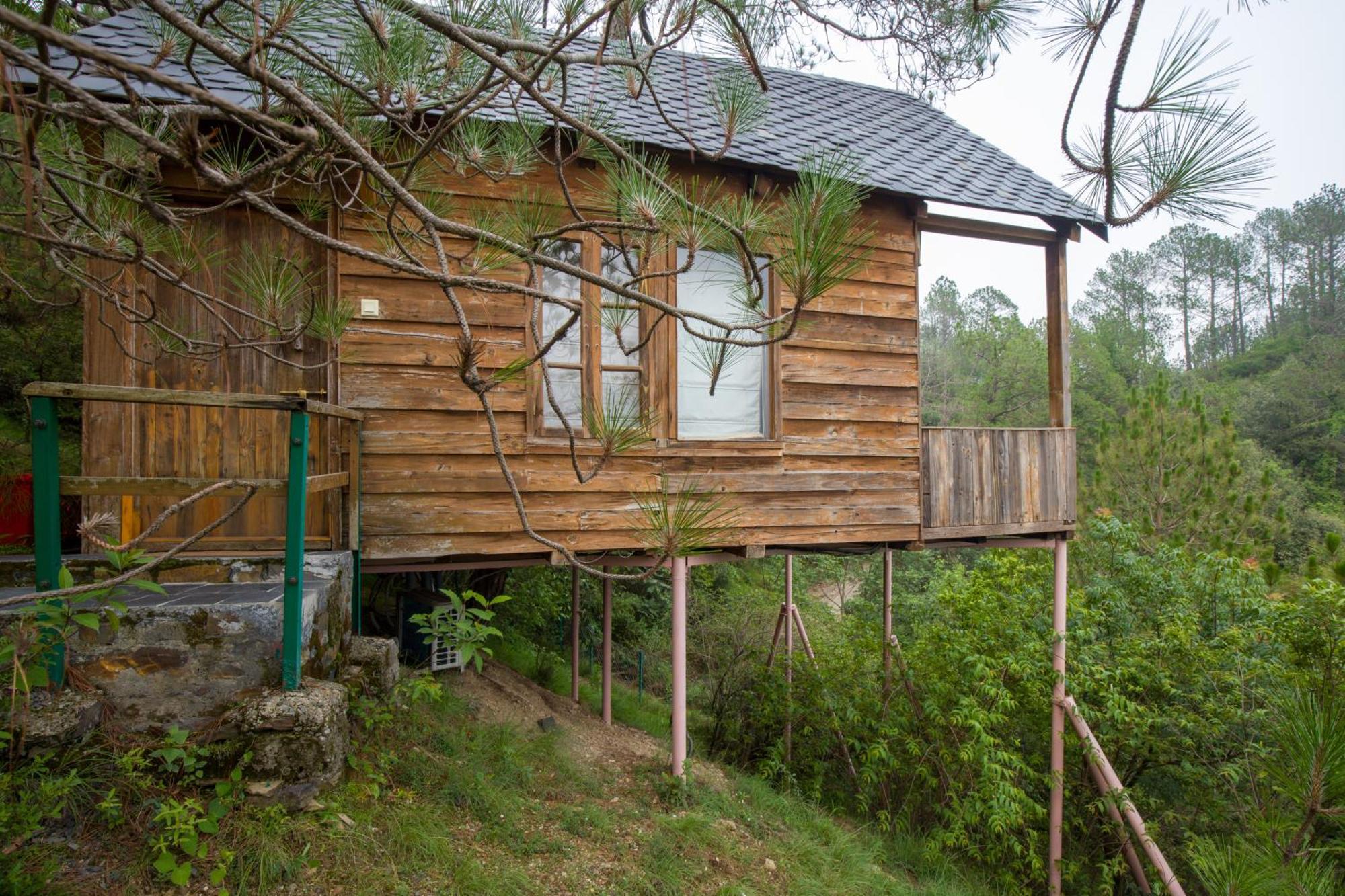 Villa Alaya With Tree House - Suro Woodbine *