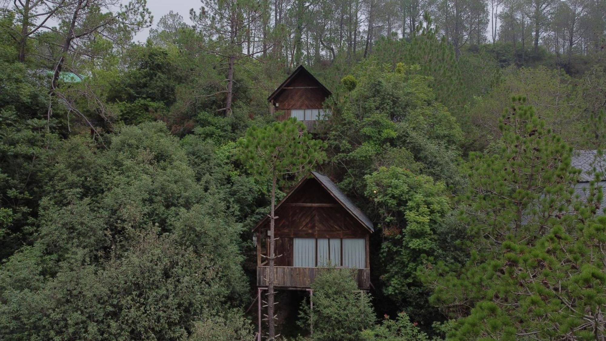 Alaya With Tree House - Suro Woodbine *