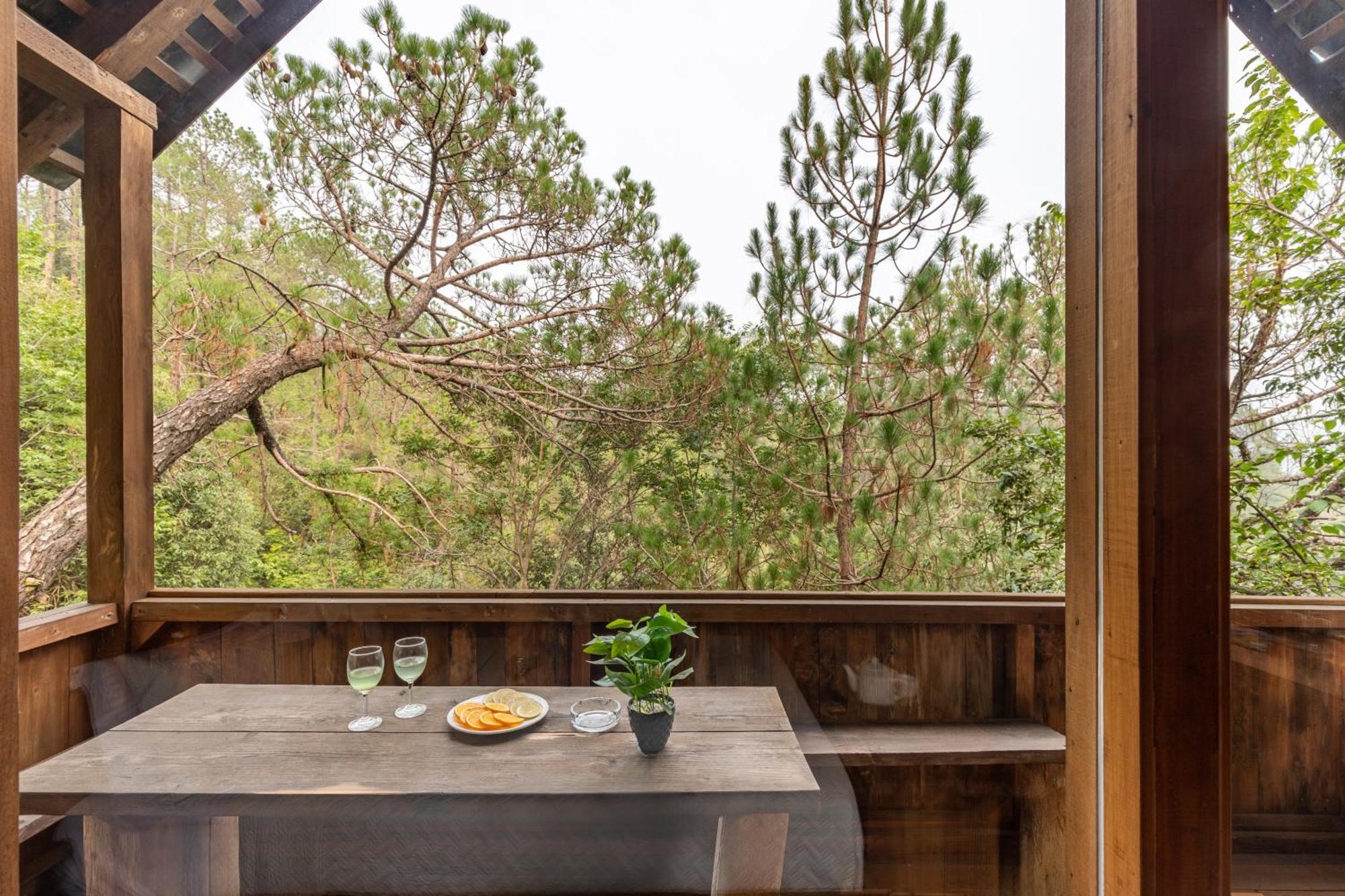 Villa Alaya With Tree House - Suro Woodbine *