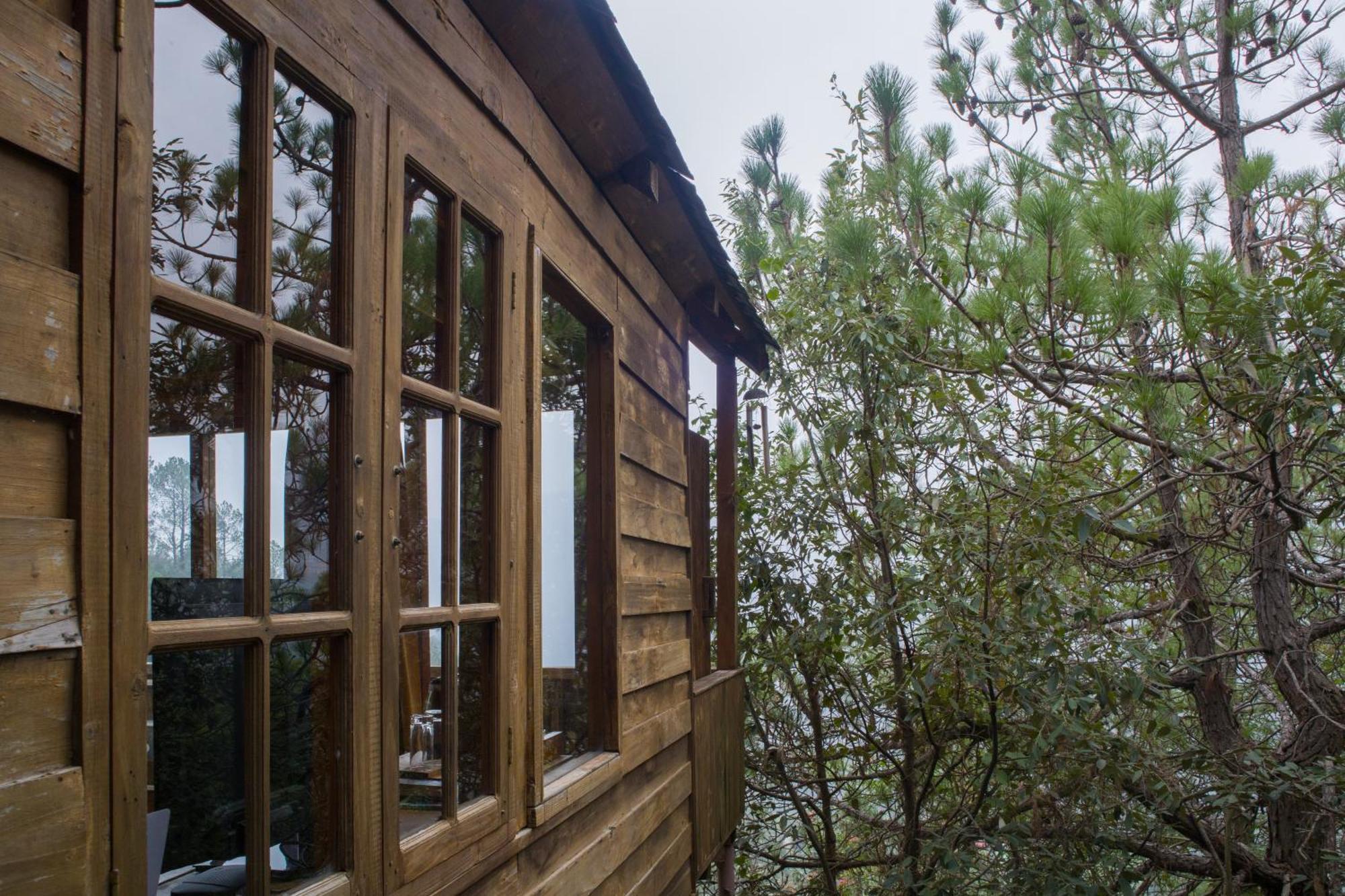 Alaya With Tree House - Suro Woodbine *